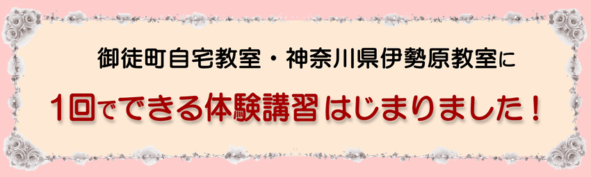 1回でできる体験講習はじまりました!